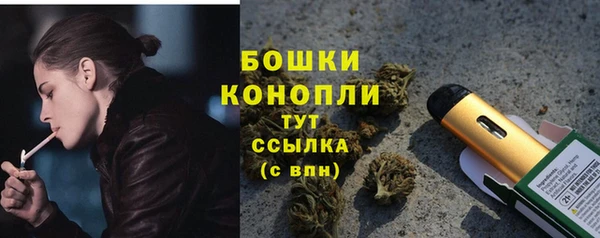 амф Арсеньев